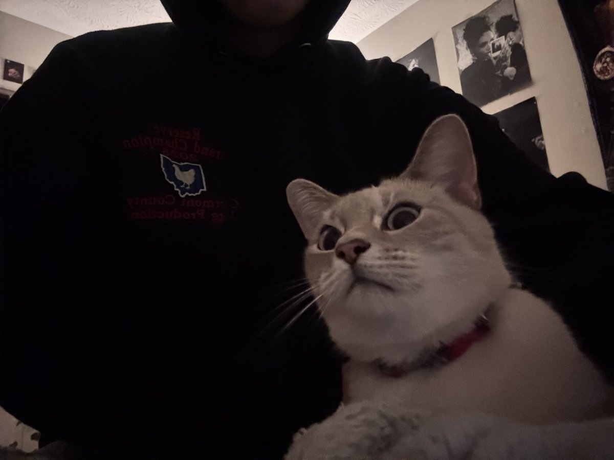 osiris_splash's tweet photo. comfy time https://t.co/6TJKYiMSzh