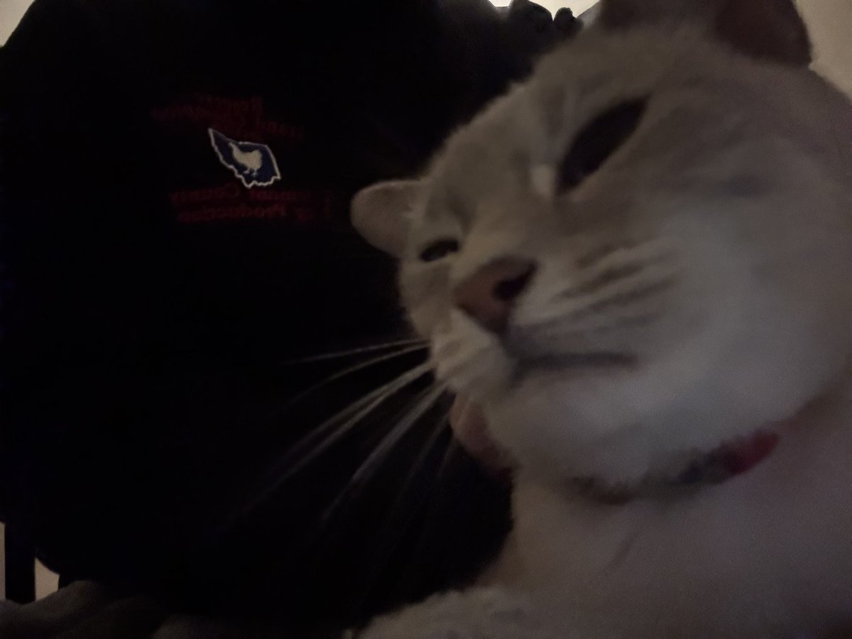 osiris_splash's tweet photo. comfy time https://t.co/6TJKYiMSzh