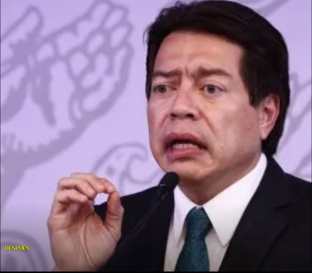 No olvidemos que Mario Delgado
 1. votó a favor del Plan México
 2. La reforma educativa de Peña Nieto
 3. Siendo presidente de MORENA permitió y fomentó las candidaturas de varios pillos...
Al que deberían ofrecer la embajada es a él, no a Marx Arriaga...