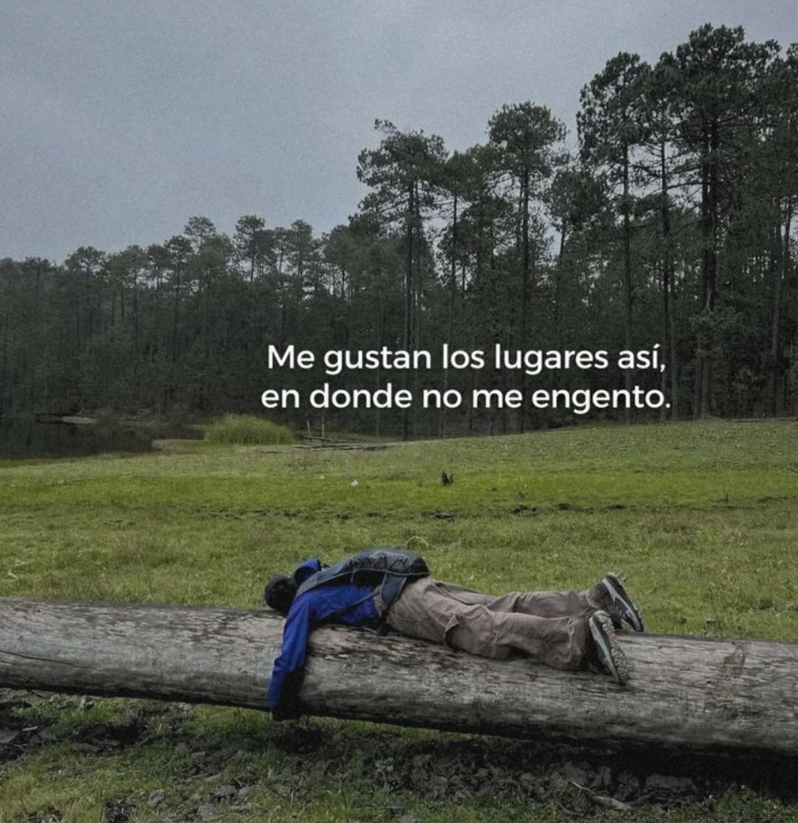 BANDIDOS tweet media
