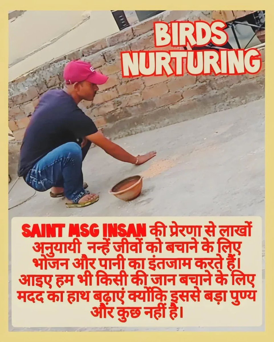 itz____vishal's tweet photo. Birds are very beautiful, it is our duty to take care of them. Followers of Dera Sacha Sauda provide food and water for birds under the Bird Nurturing campaign, run by Saint Gurmeet Ram Rahim Ji. #FeedEveryCreature https://t.co/4HW0bWd92w