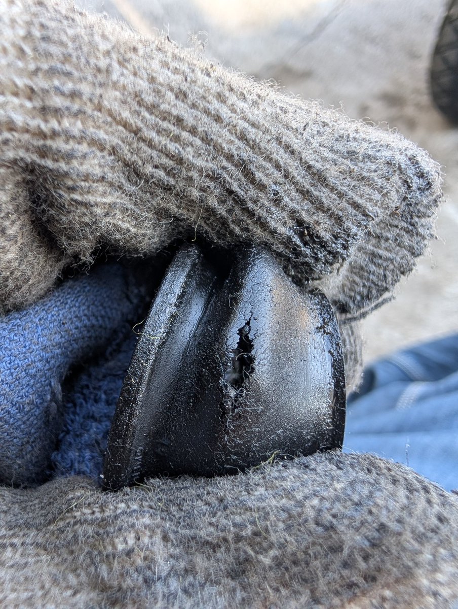 shakotan☆cub (@z2f00941) / Posts / X