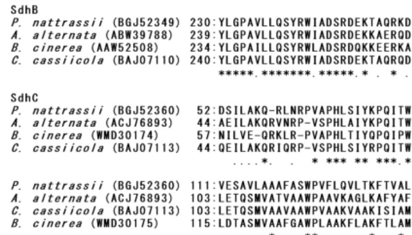 J Gen Plant Pathol tweet media