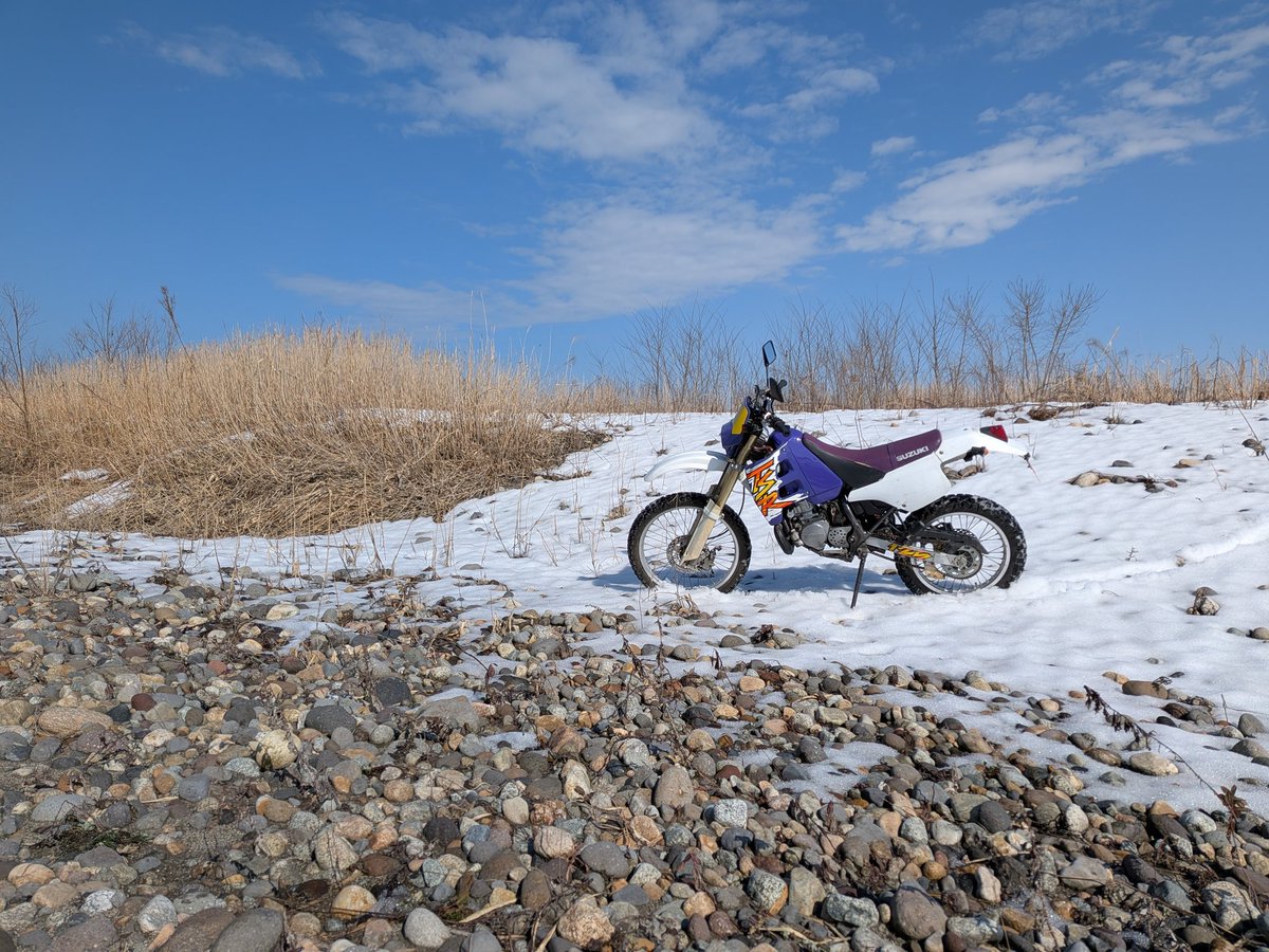 ぱいん tweet media