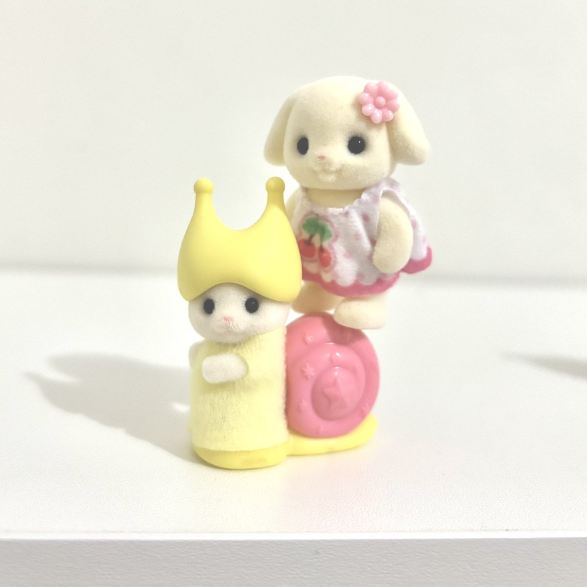 ೀ felowie @ after dm tweet media