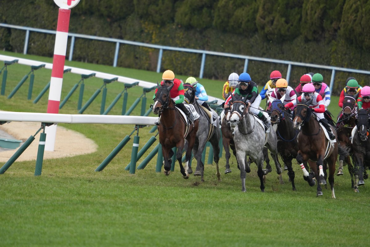 ojusukiii's tweet photo. 2026.2.15 小倉競馬場　6R
4歳以上1勝クラス　2000m
#レジェンドシップ 
#小倉競馬場 https://t.co/4nyH71sZx0