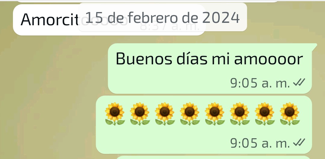 JenniferNoSse's tweet photo. Mientras yo exista no le faltará su buenos días 🌻🌻. @io_ando_viendo 🥰🌹❤️‍🔥 https://t.co/kCEMmqGNd6