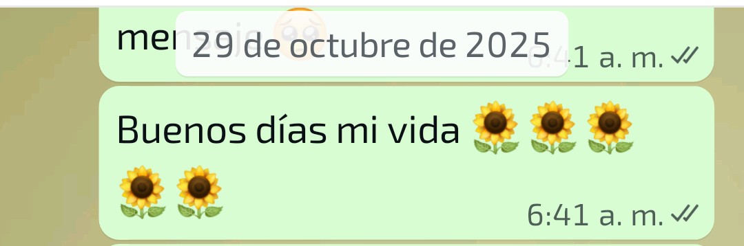 JenniferNoSse's tweet photo. Mientras yo exista no le faltará su buenos días 🌻🌻. @io_ando_viendo 🥰🌹❤️‍🔥 https://t.co/kCEMmqGNd6