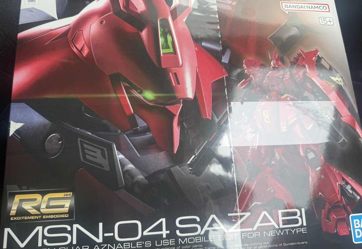 ふと中古屋に入ったらありました。
RGνと並べる‼️
逆シャアはまだ冒頭10分しか見てません…