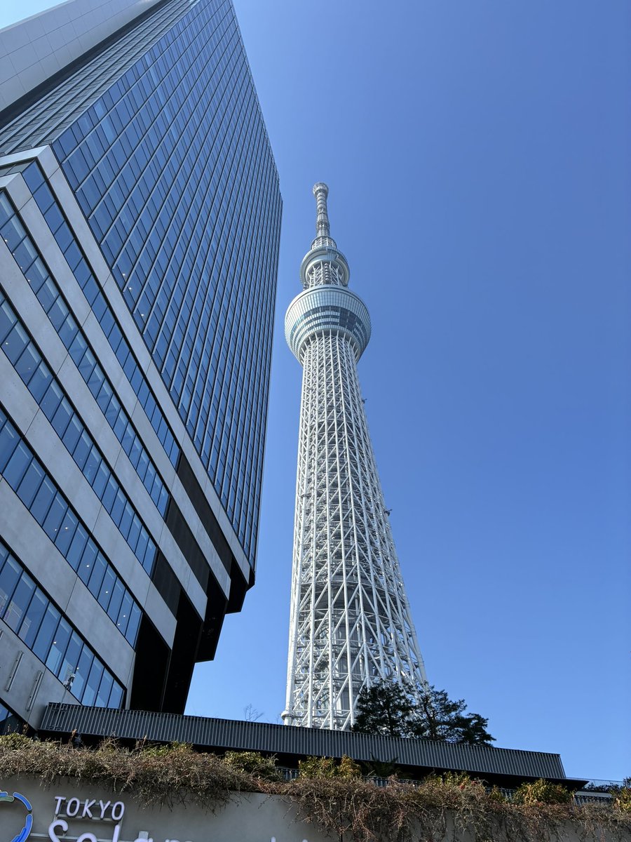 (なかむら) tweet media