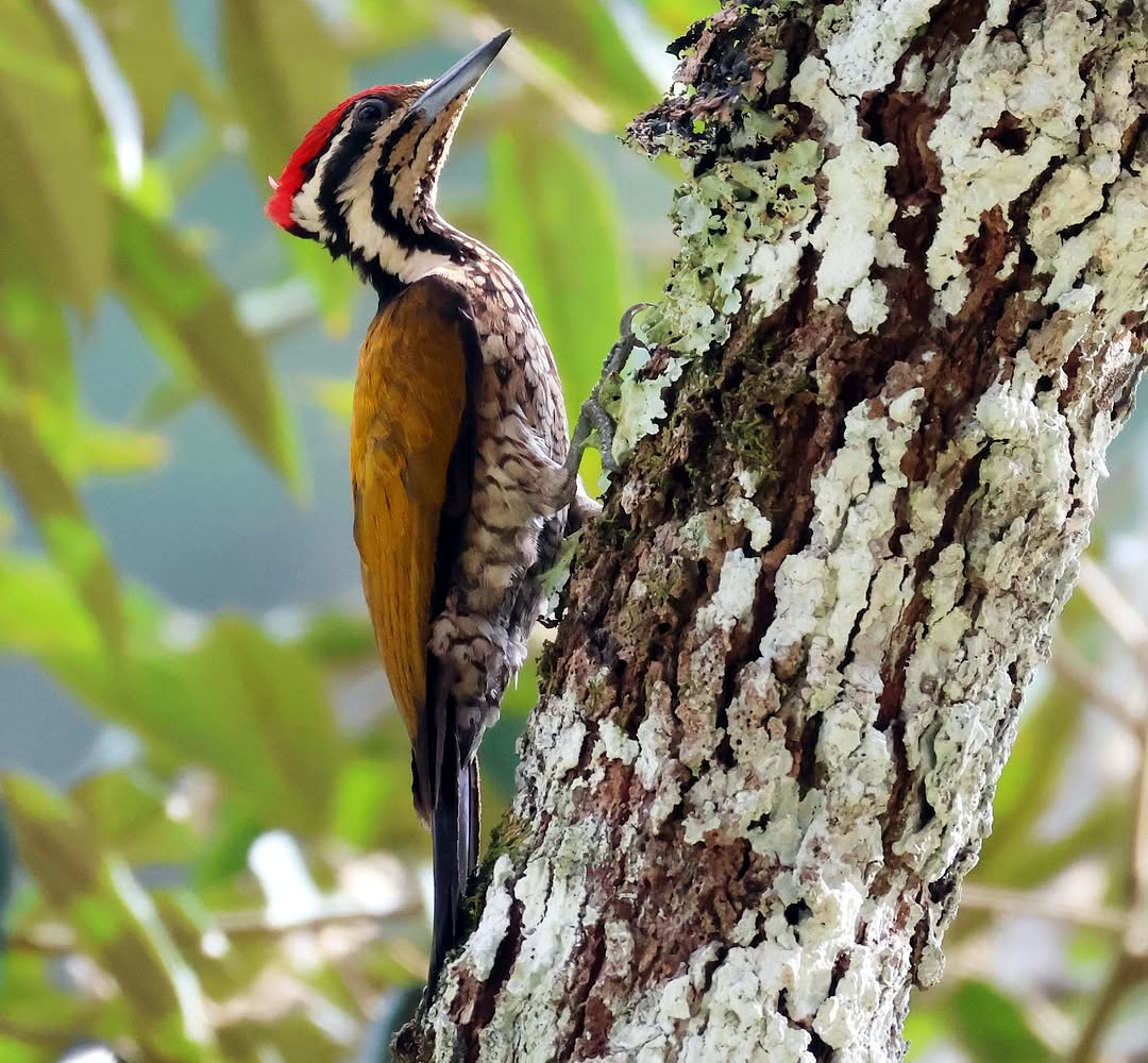 TheBatBotLab🇺🇸 tweet media