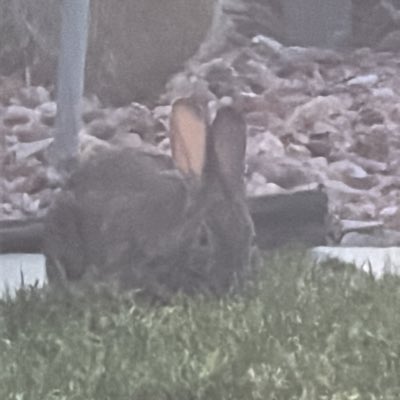 DollaNugs's tweet photo. #NewProfilePic https://t.co/3szh6Tjcup