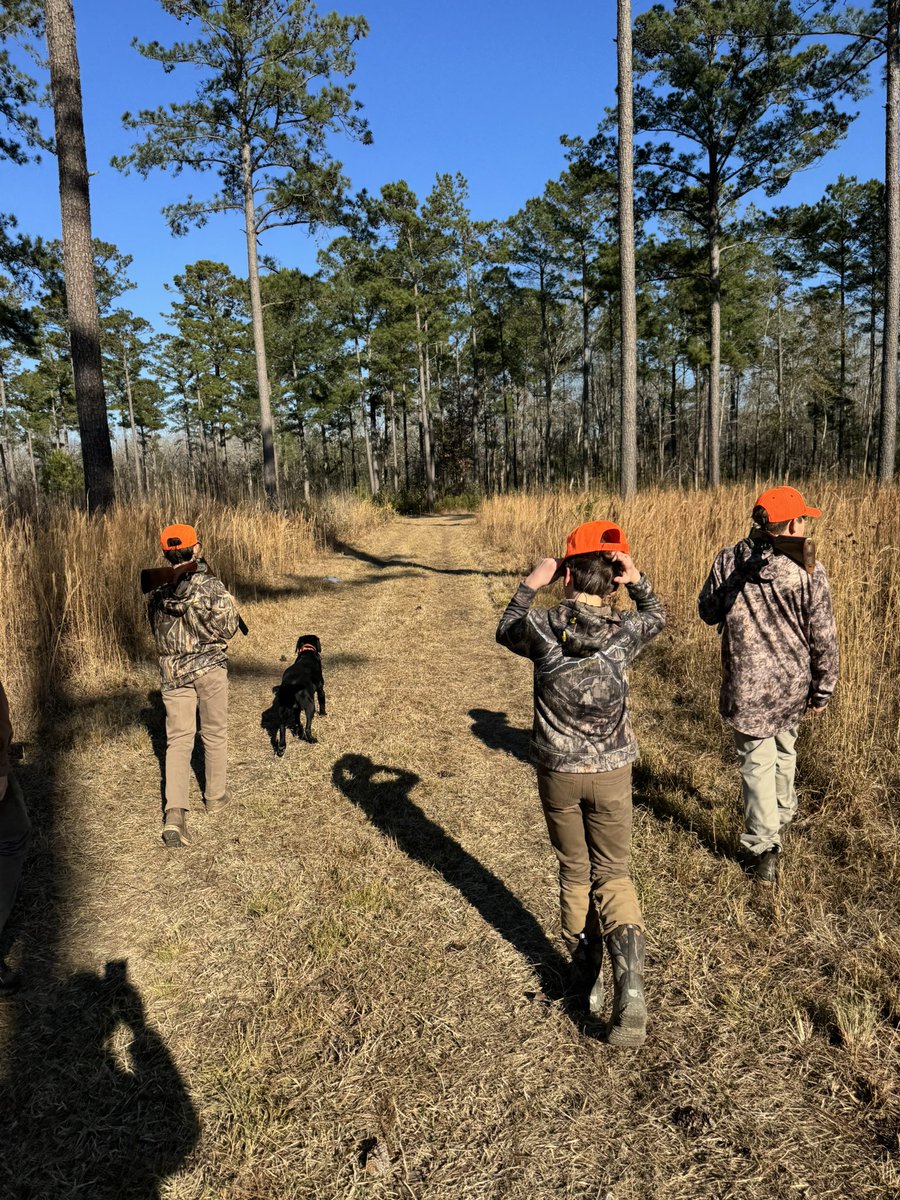 Shane Beamer tweet media