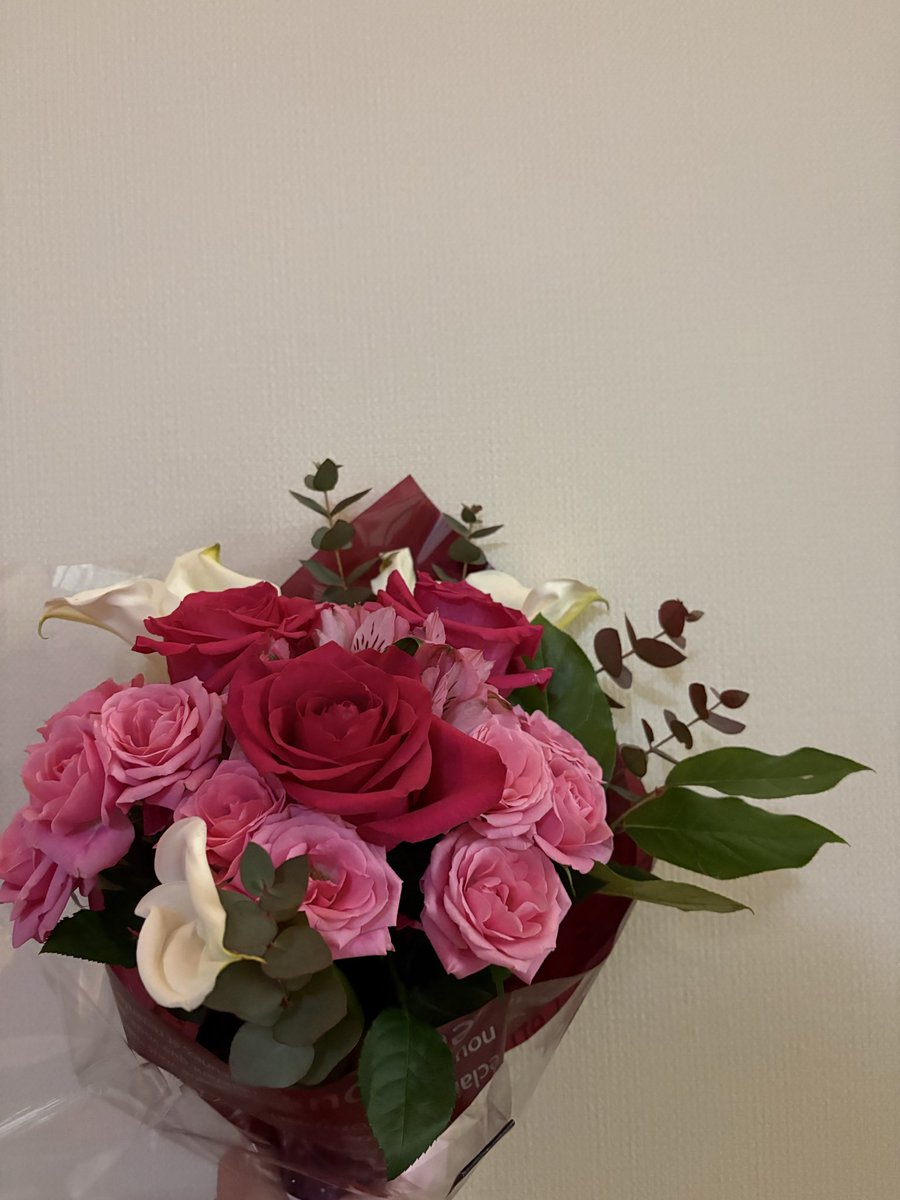 バレンタインコンサート終演しました🍫
2/13 中野市西部公民館（長野）にて演奏させていただきました。

初めての公民館、初めてのアップライトピアノ、そして素敵な共演者のお二人と、貴重で楽しい本番となりました。
地域の皆さまのあたたかさに感謝です✨

次回長野は8/22チクルスです！