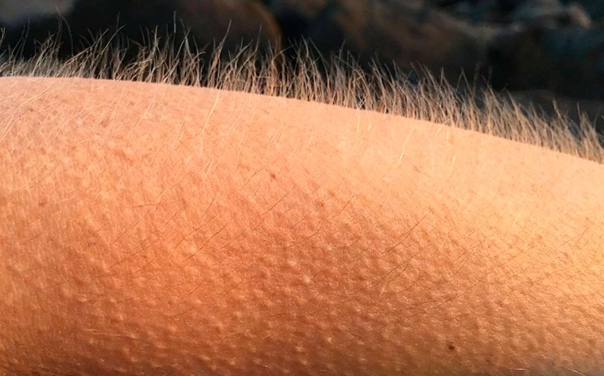 Key_Mar_Lo's tweet photo. Yo escuchando #SinDespedida de Carlos Rivera y  Alejandro Fernández
#SabadoRiverista  
https://t.co/ME9kOb1lea https://t.co/fAZ7UViikT