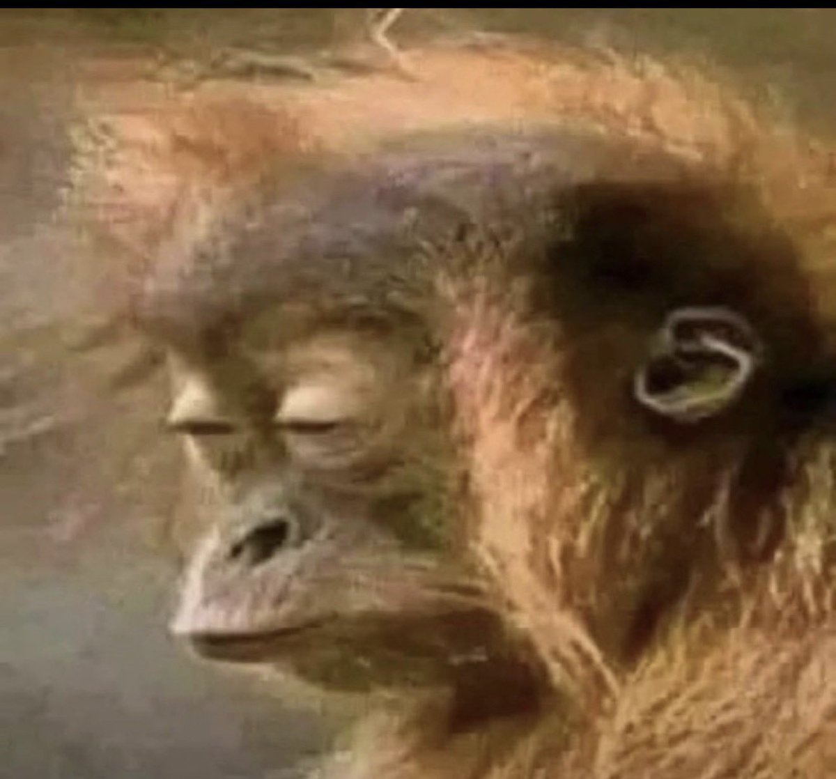 Colton Sparks (TFAdvanced) tweet media