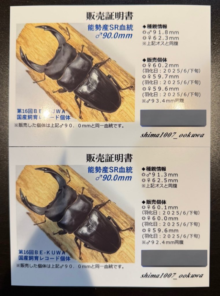 レイチェル (@Raychell_SR) / Posts / X