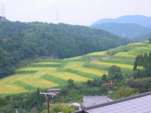 Unbekannt_XYZ_'s tweet photo. 政令市自体は別に都会であることを保証しない https://t.co/FcXnKIw0mi