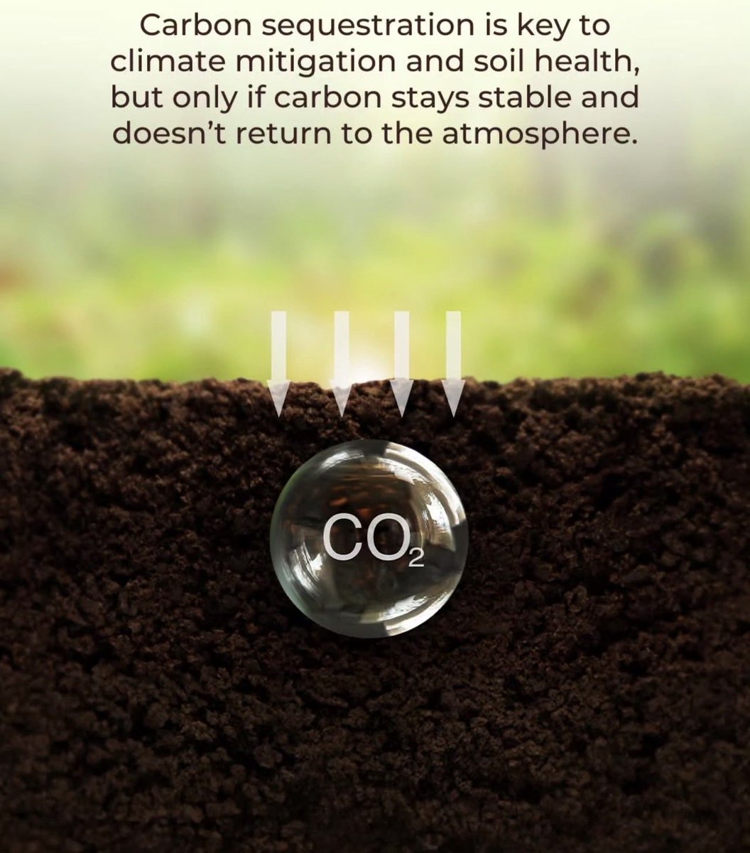 DaleenDynamic's tweet photo. Carbon sequestration is key for soil health and climate stability. #SaveSoil #SoilFirst #PolicyForSoil #SadhguruJV #cpsavesoil #ConsciousPlanet https://t.co/edHpF0hOkX