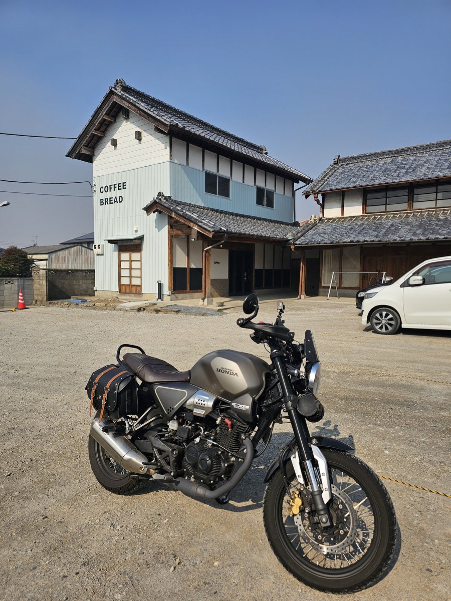 ＣＡＴ３０８ tweet media