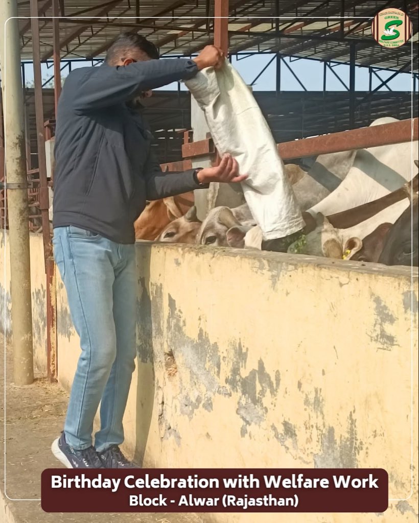 GreenSwelfares's tweet photo. A birthday celebrated not with candles, but with compassion 🌱🐄
By planting saplings and arranging green fodder for stray animals, volunteers turned their special day into a gift of life for nature and voiceless beings.
True happiness lies in serving all creations. 

#BirthdayWithPurpose #CareForNature #AnimalWelfare #TreePlantation