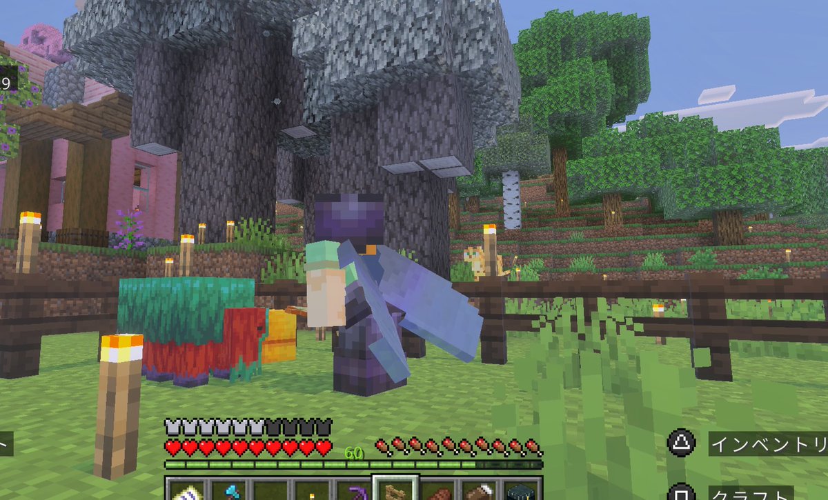 先週から終わらせたかった確定申告、ついに完了！マイクラやるぞ！
昨日深夜にスニッファーの卵を初めて見つけて、孵化させたのでゆっくり見守る👀何か聞こえるけどこれ鳴き声？？
