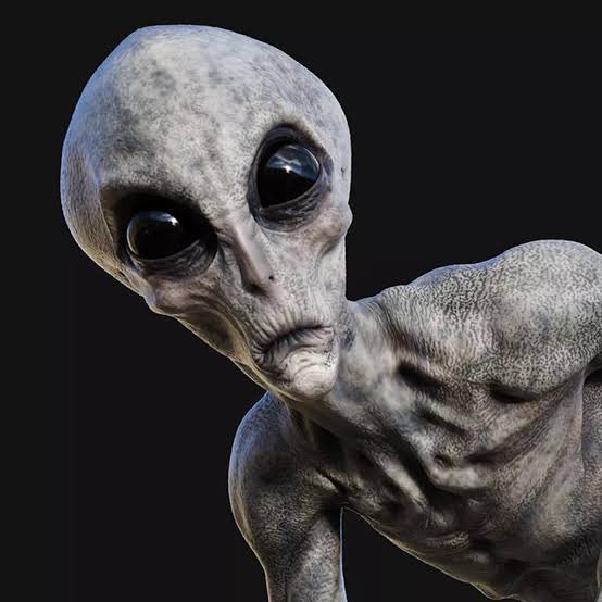 USA NEWS 🇺🇸 tweet media