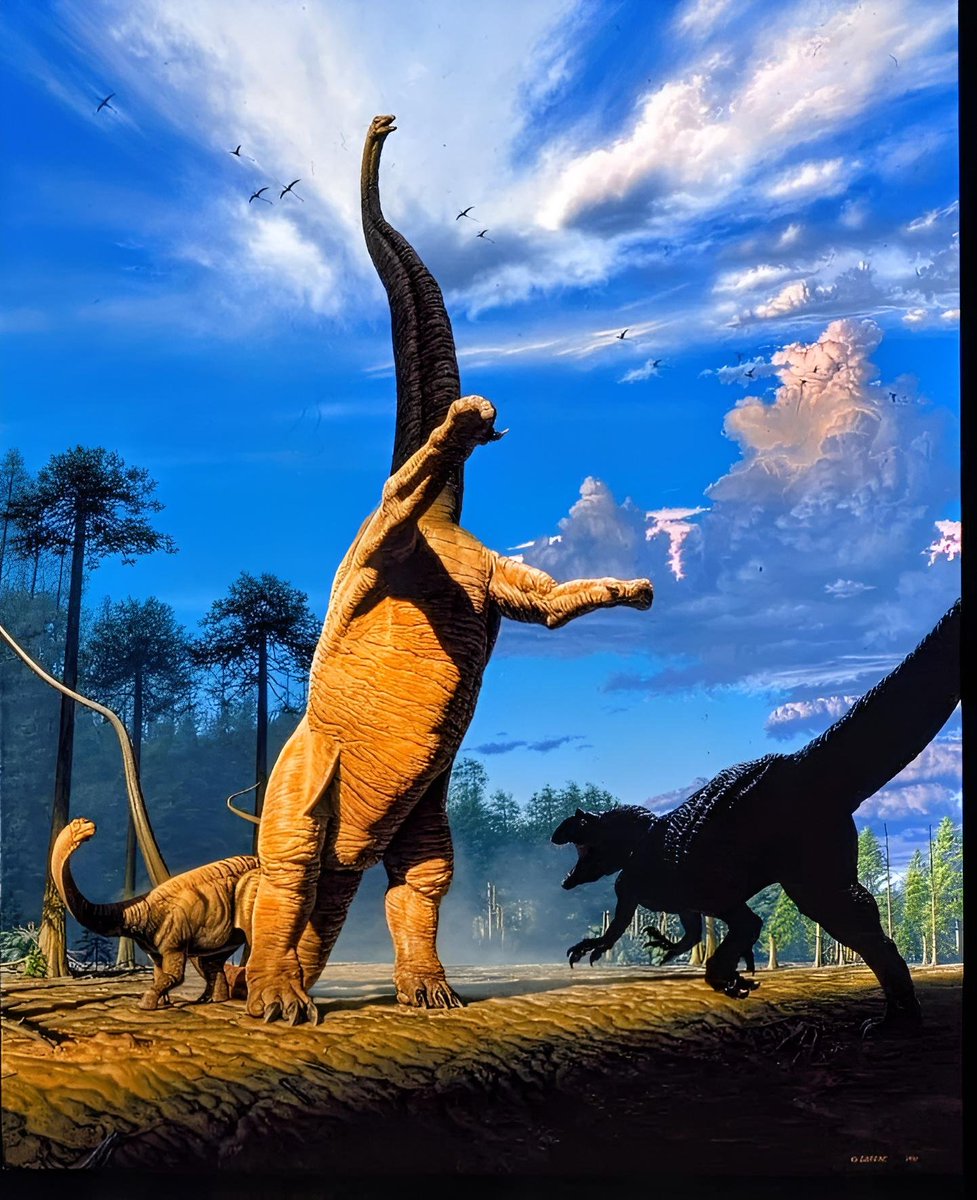 COSMIC 🖖🏾 SLOP tweet media