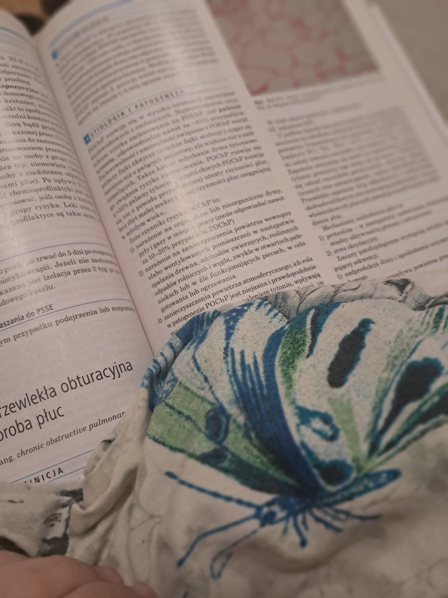 ╰➤Nela (& Kazu) - AlmostSomeone tweet media