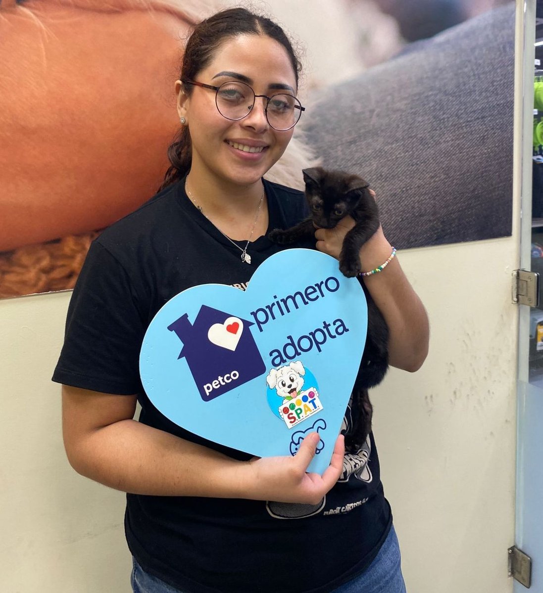 Queremos compartirles que Flow ya ha sido adoptado! Un michito menos en la calle. #MisionCumplida #PrimeroAdopta #Petco #Tampico