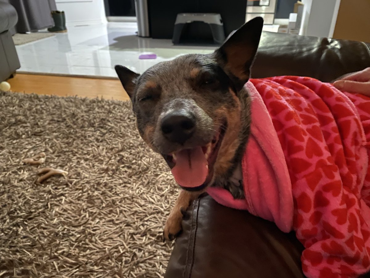 Kris Knowles (@kkllstre4k) on Twitter photo 