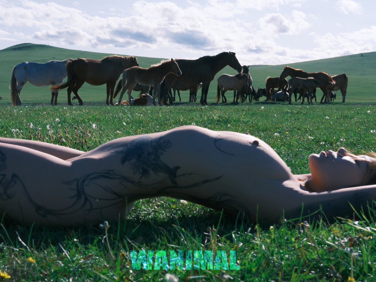 WANIMAL | Official tweet media