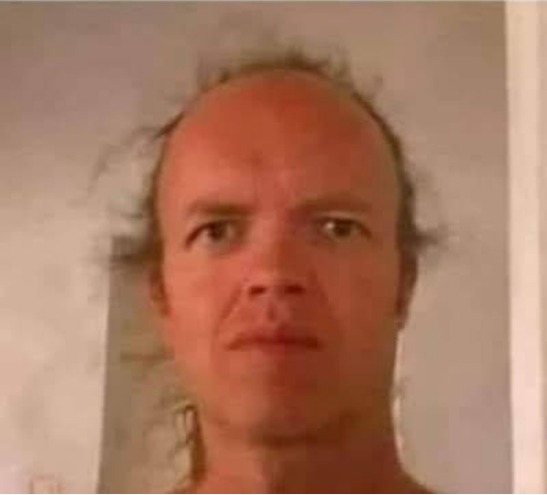 Bill, Son of Bill 🐂 tweet media