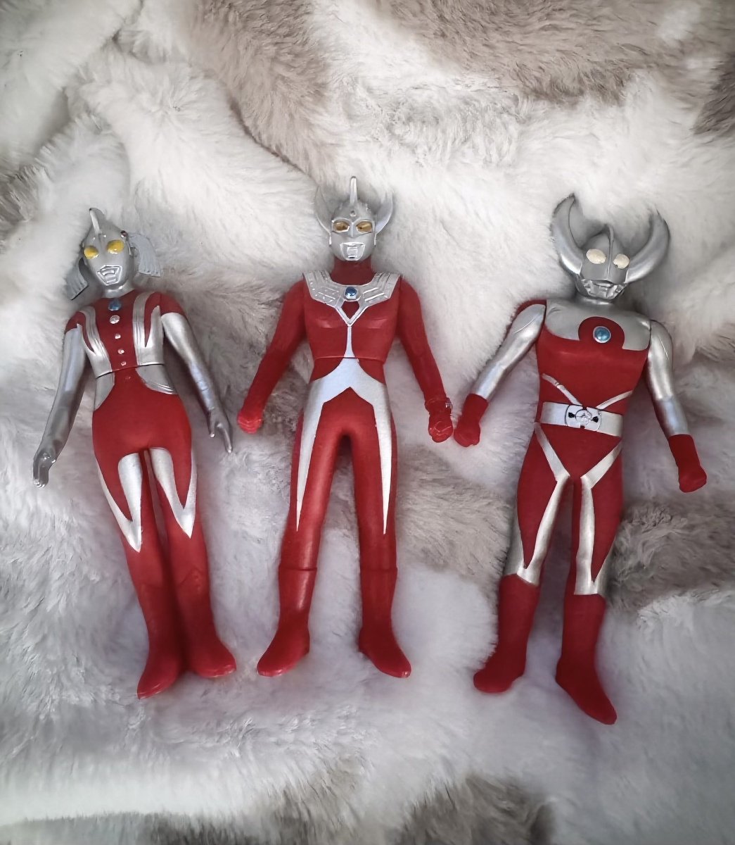 タロウ🤍ようこそ我が家へ٩( o|o )و @pika_820 ありがとう♡⸝⸝⸝