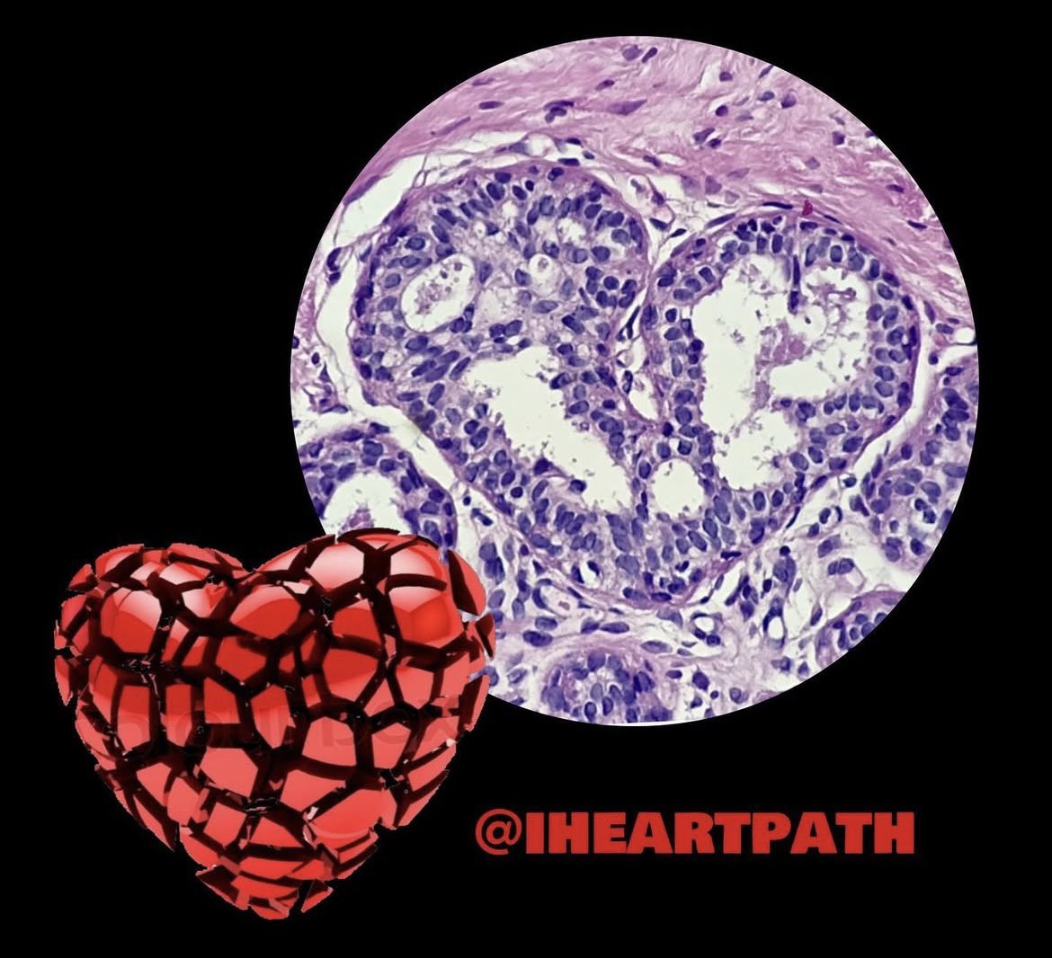 iheartpath tweet media