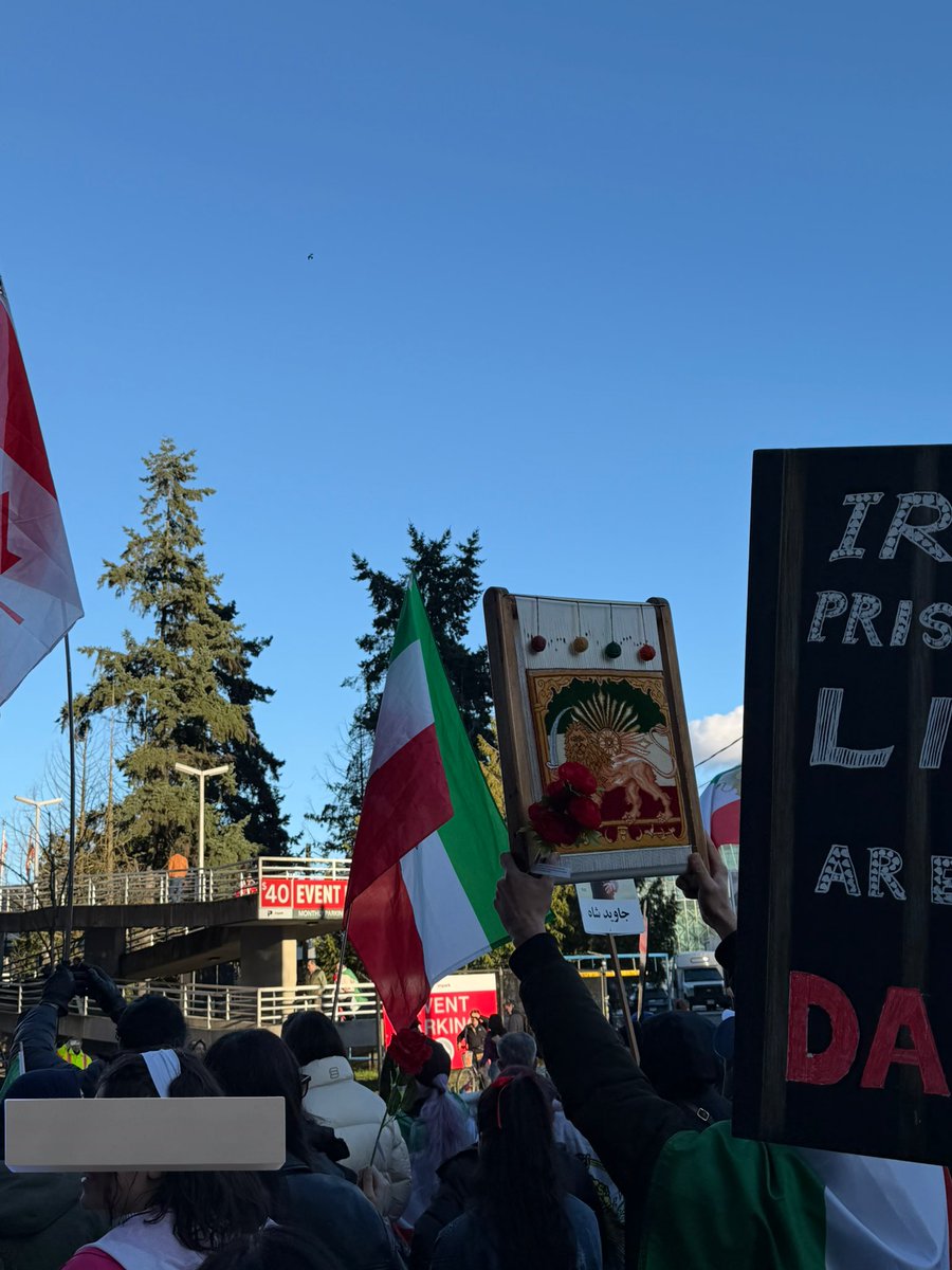 منیزیوم 🇮🇷🎀 گـل غــربـت tweet media