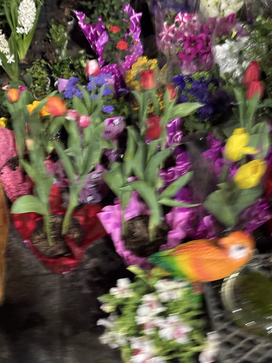 Mucho romance en esta ciudad 🖤