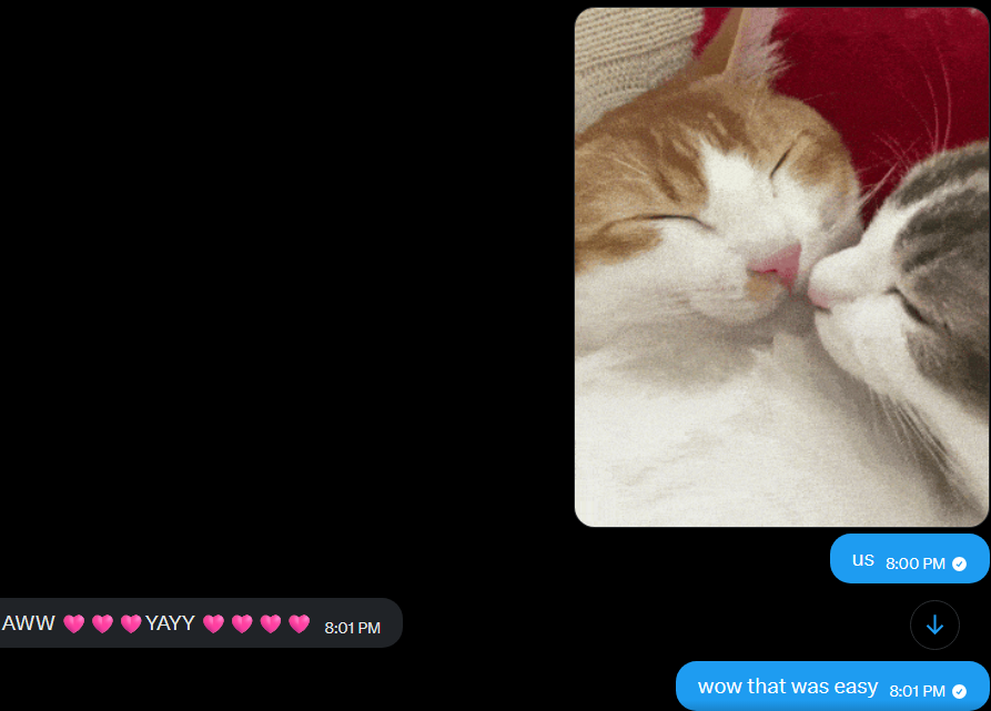 me and my wife never fight i just send cat pictures and she forgives me