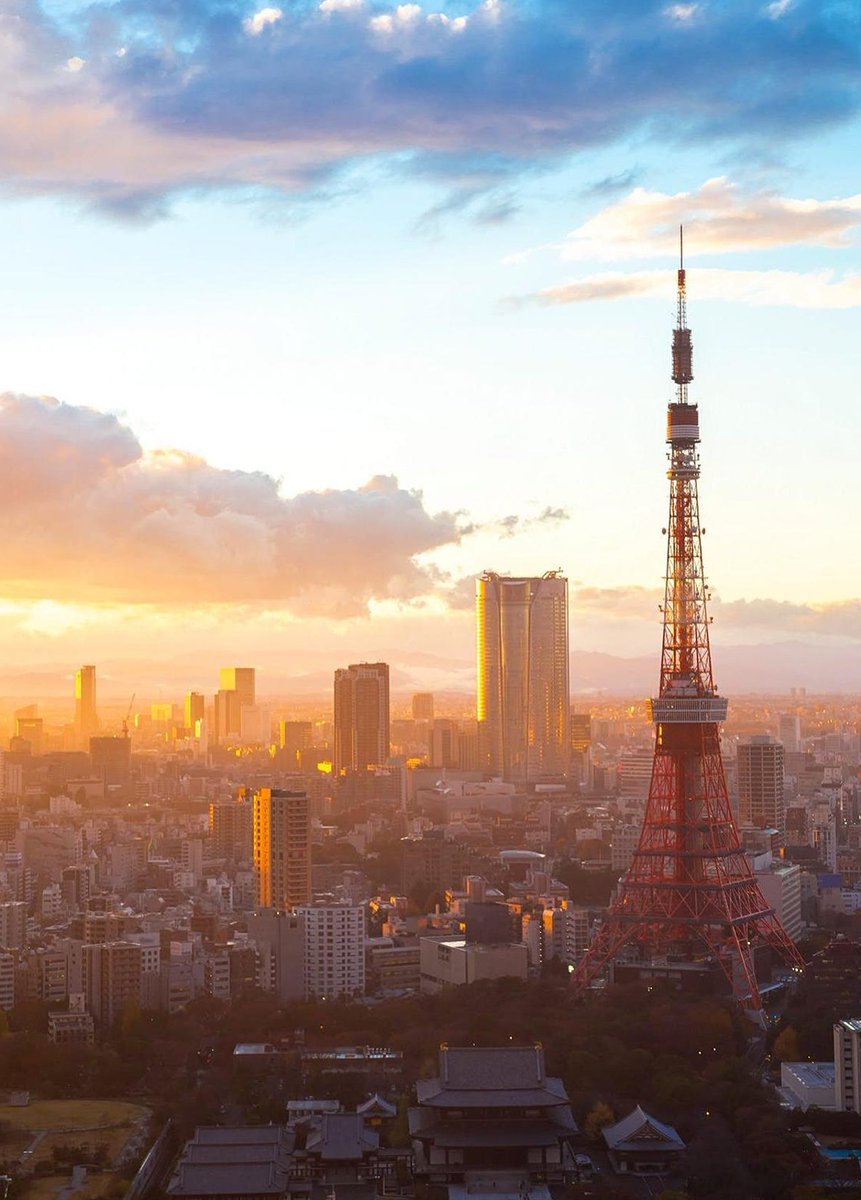 Banfitte's tweet image. 仕事は22時 🍽️