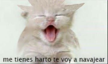 CÓMANME LOS HUEVOSSS tweet media