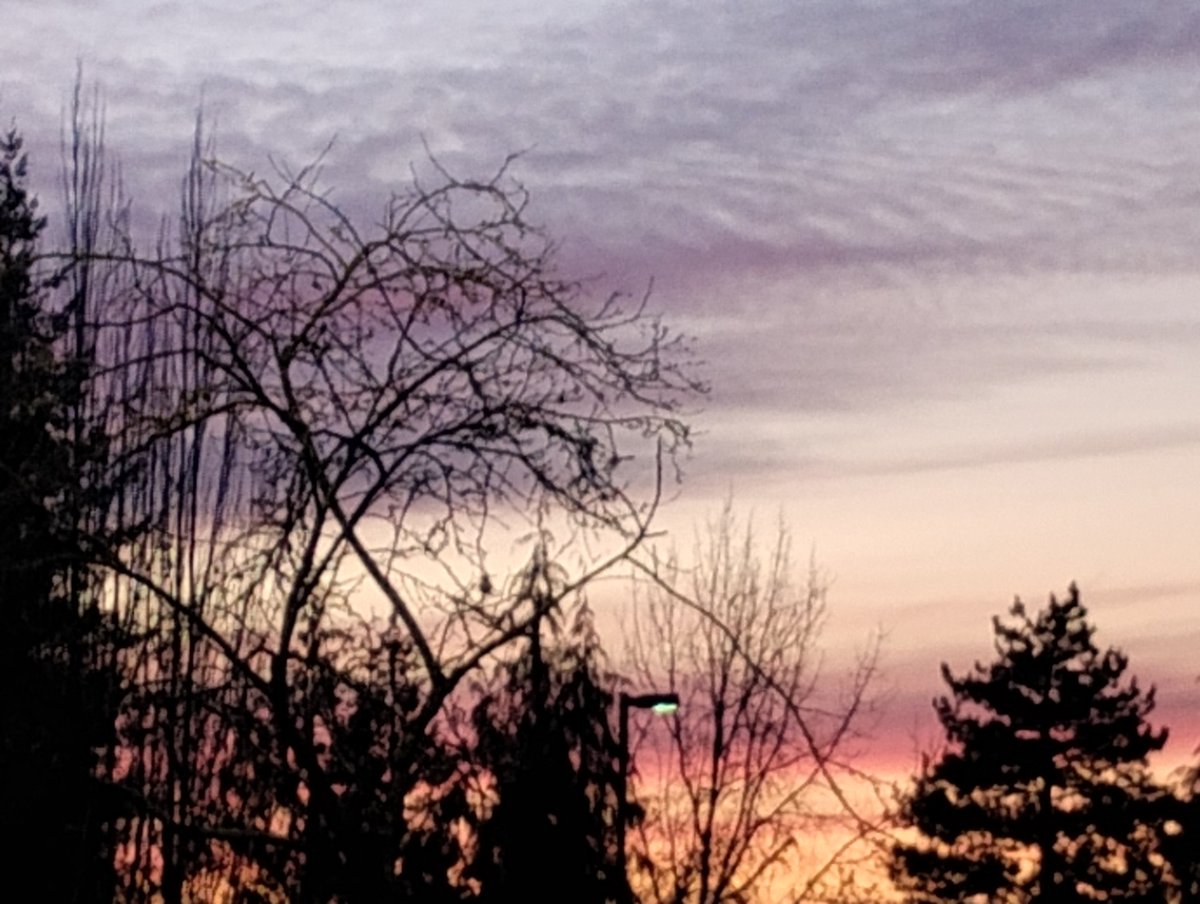 Sunset
Kirkland, Washington