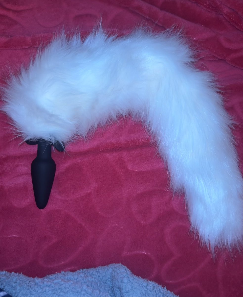 Me regalaron esta colita, te muestro cómo se ve puesta por acá😸😸😸
onlyfans.com/babysadny