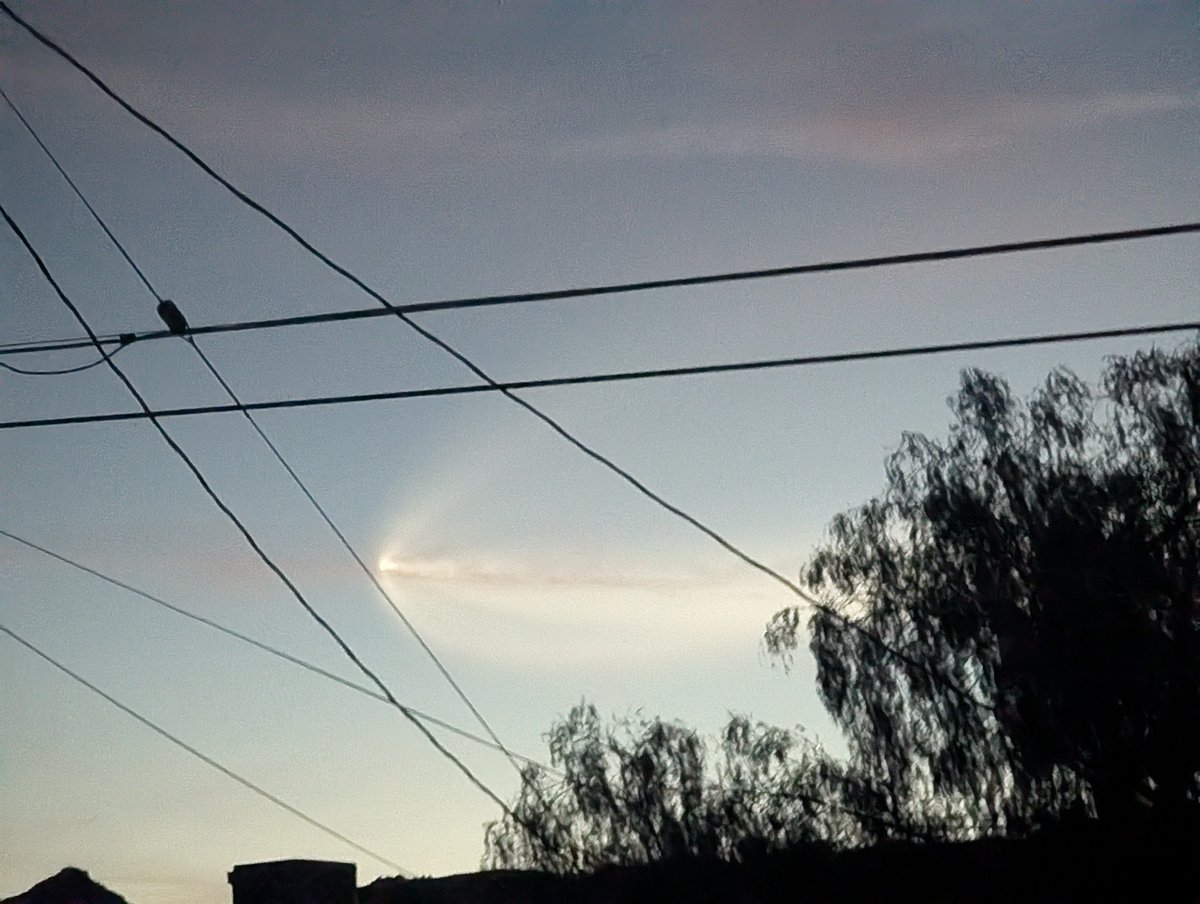 Matthew Thompson tweet media