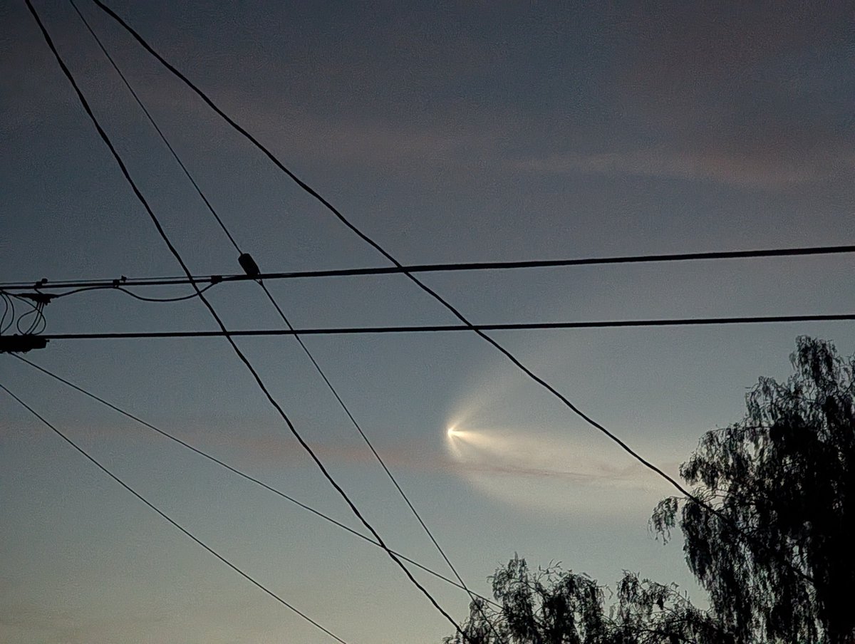 Matthew Thompson tweet media