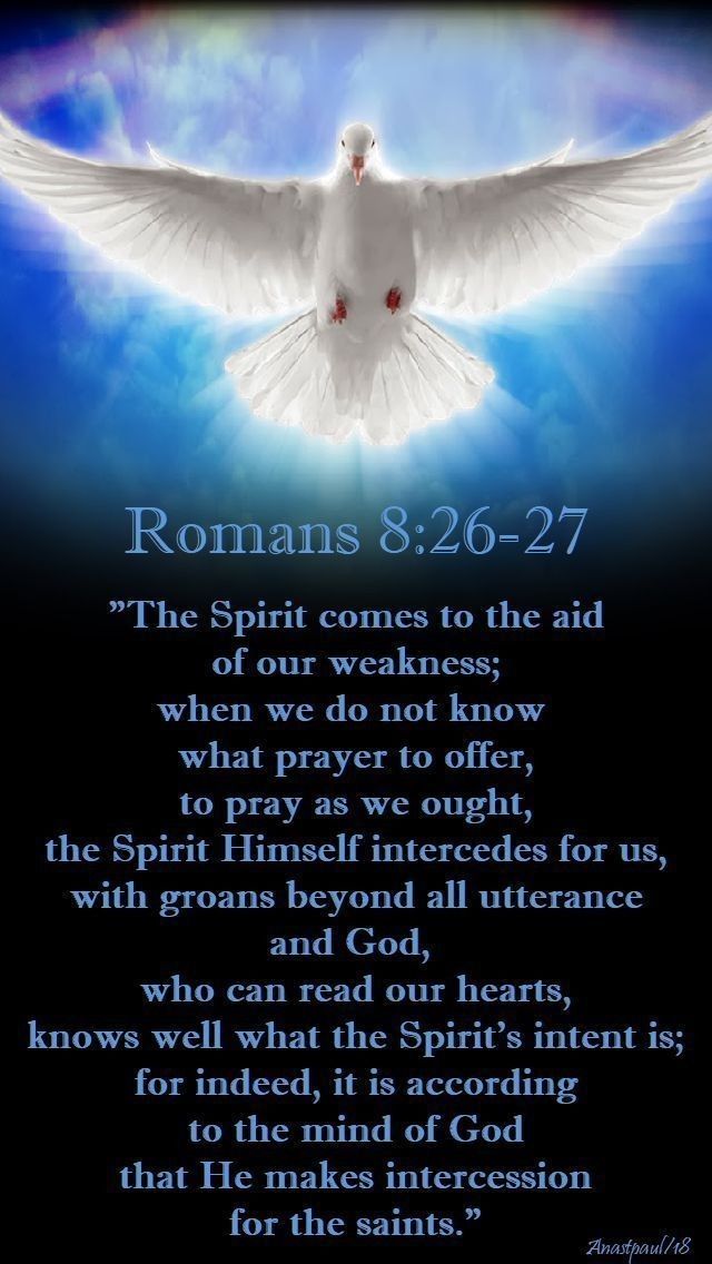 CAT1PRO's tweet image. #TheHolySpirit