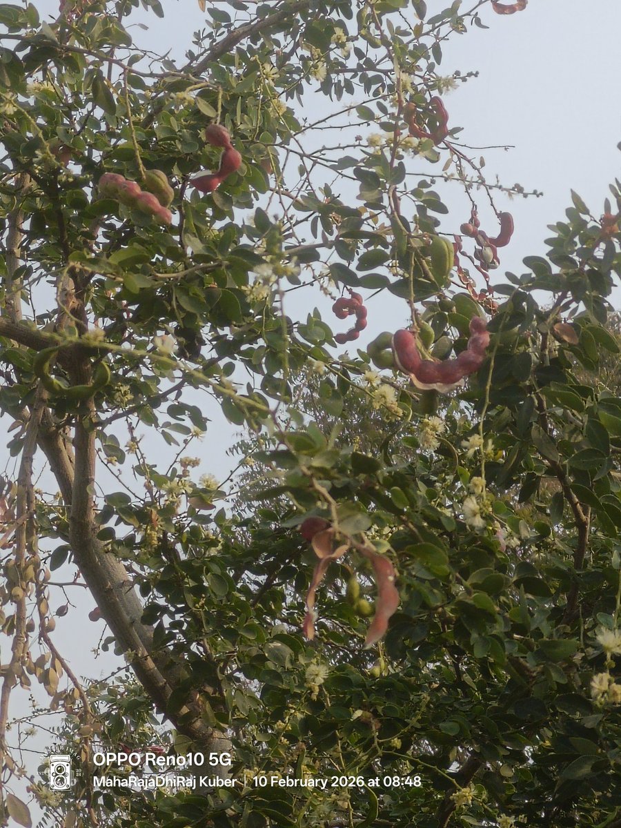 Maharaja Shrimant Veer ShiromaniRaje ShrikuberRaje (@veermaharaja) on Twitter photo 