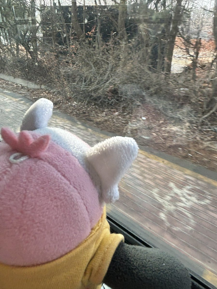 🧸 tweet media
