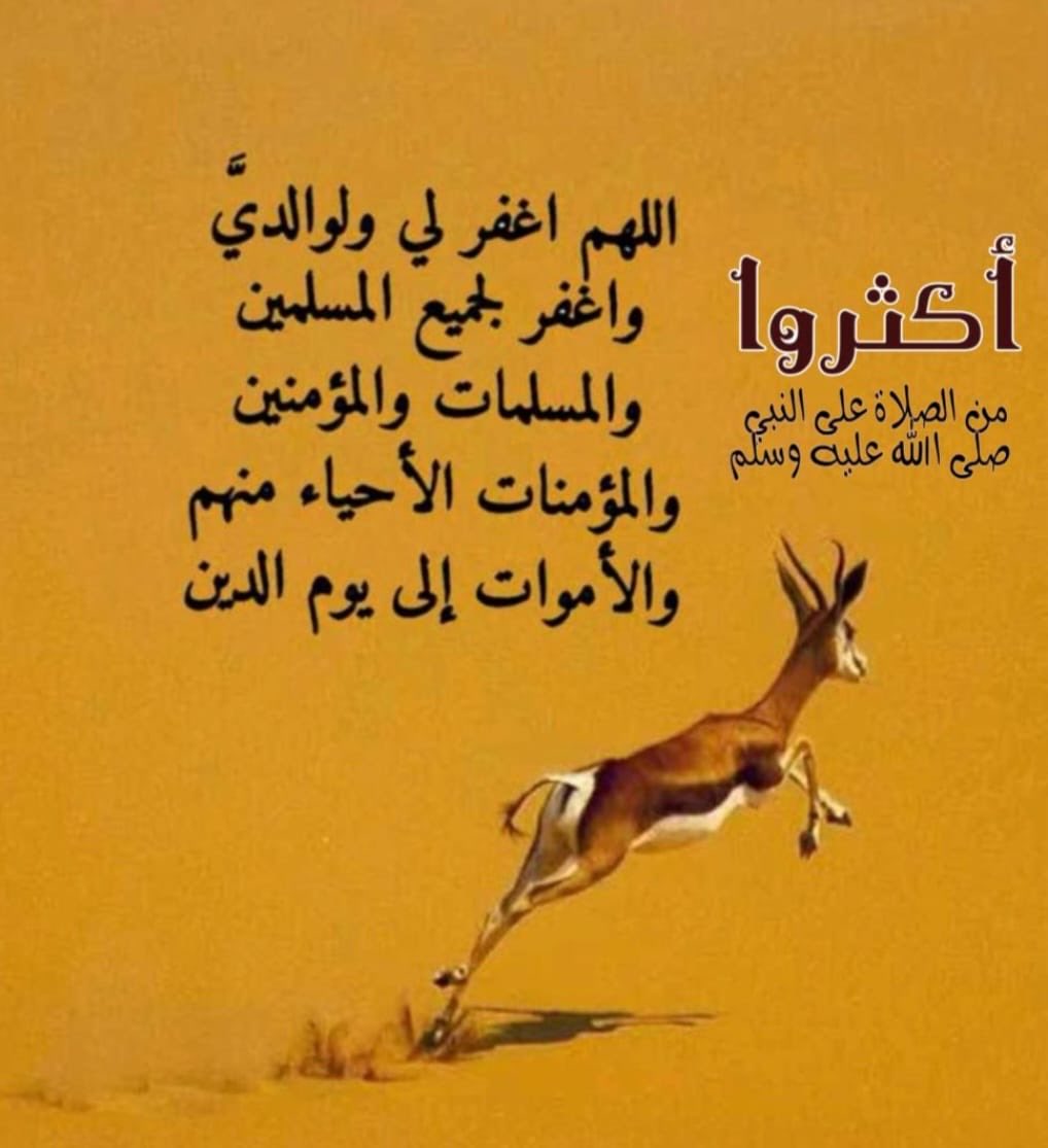 ناصر بن سالم آل عقيل (@nasser51741) on Twitter photo 