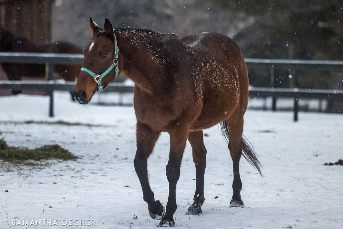 Samantha Decker (she/her) 📷 tweet media