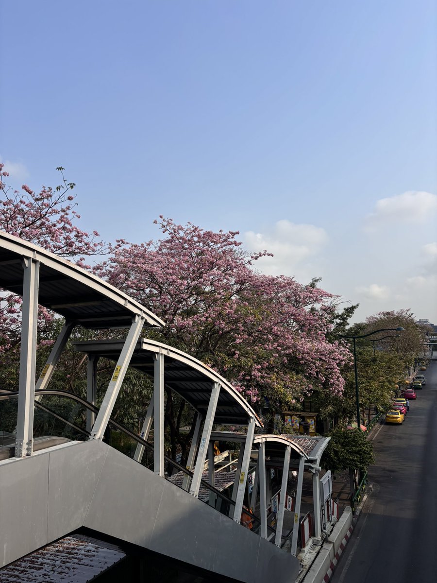 สีกล้อง fz55                    กล้องไอโฟน